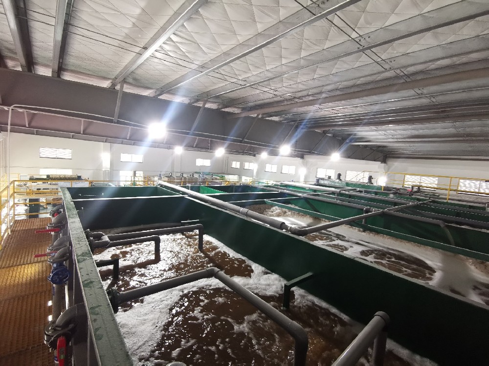 珠海某金屬無(wú)電解有限公司電鍍廢水處理及零排放工程?